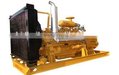 Biomass gasification type power generator