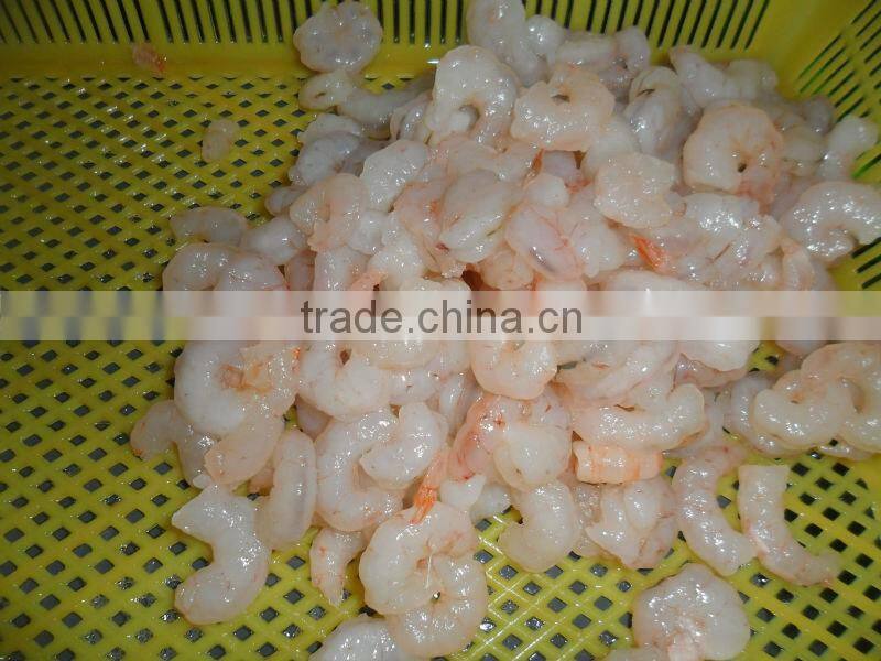 Sea foods shrimp