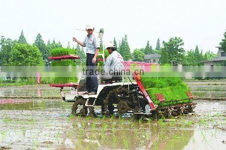 Large Capacity riding mini rice transplanter for sale