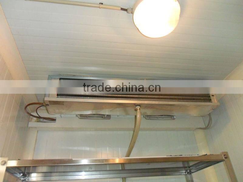20ft/40ft refrigerated container,10ft cold room container