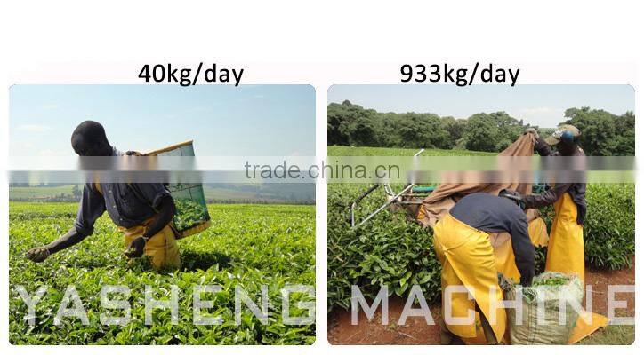 High Quality Tea Leaf Harvesting Machine for Sale