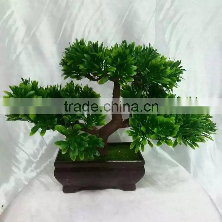 made in China mini home decoration plant with pot for sale