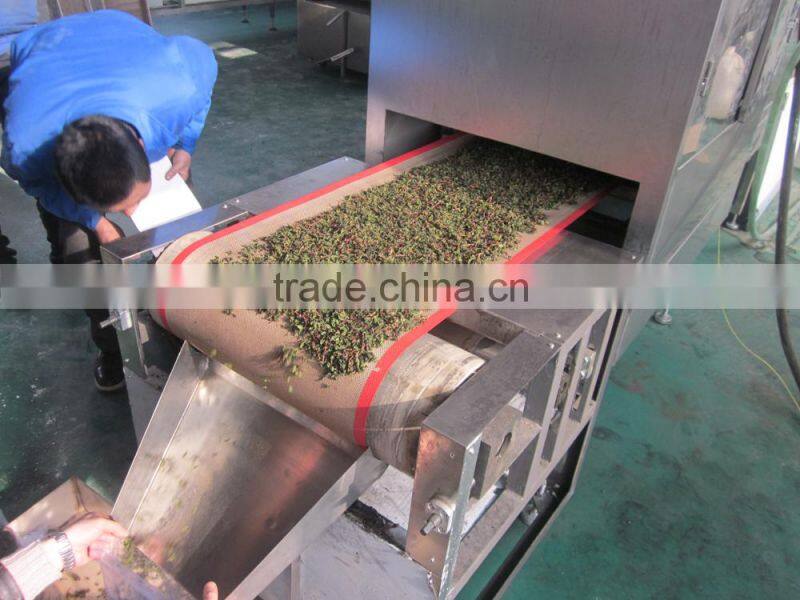 tunnel type industrial micrwave peanut dryer /sterilization machine