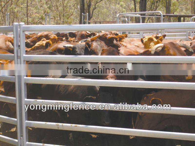 Welded Farm Gates with the best price and hot sale in Australia