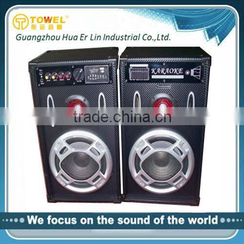 30 watt beautiful price high quality audio speaker,dual 8 unch speaker box