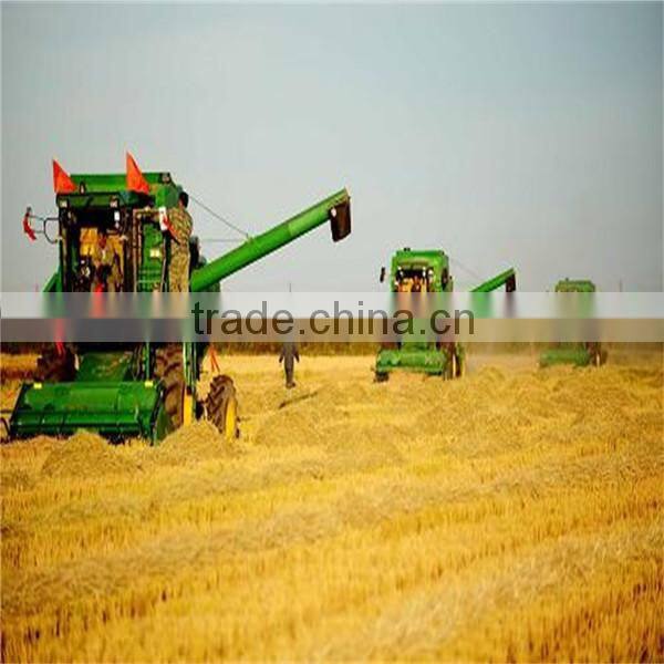 bulk malted barley of Australia origin