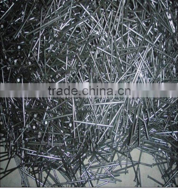 bright common nails,polish common iron nail