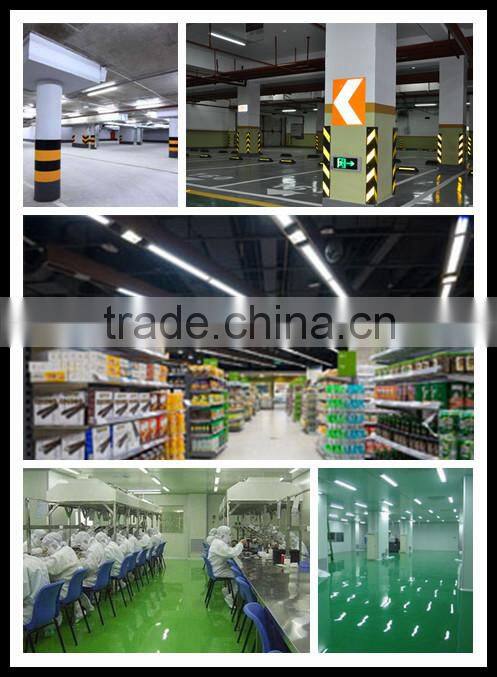 cool white IP65 waterproof led tri proof light