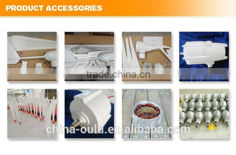 hot sale with best quality chinese made 12v mini wind turbine