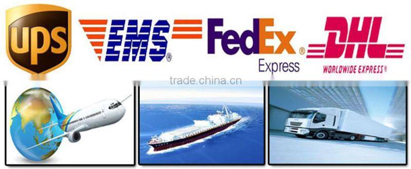 Outdoor emergency free energy power bank, USB hand power dynamo torch charger