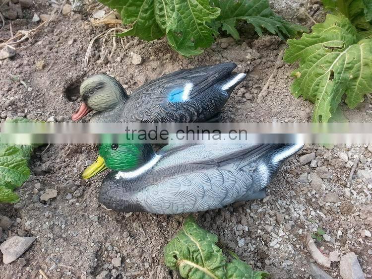 Plastic floating mandarin duck of hunting decoy