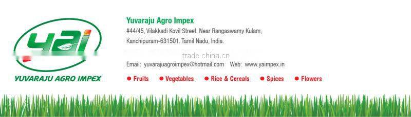 Roasted Sesame Seed Price