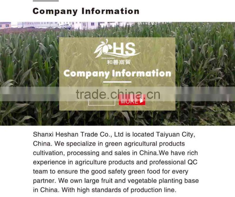 Non gmo frozen yellow corn market price