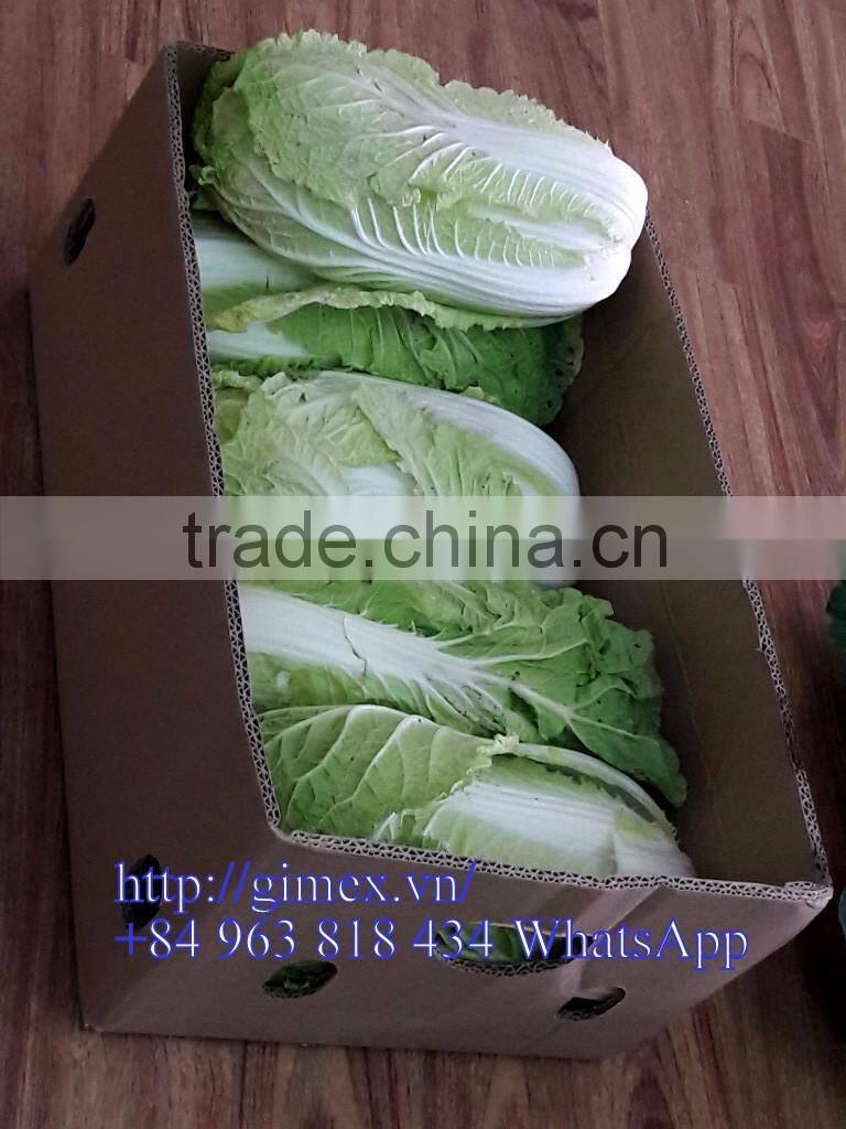 FRESH CHINA CABBAGES