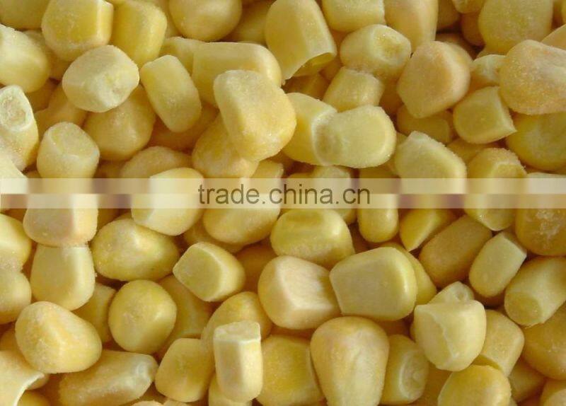 NEW FROZEN WHOLE KERNEL CORN JINFEI SWEET CORN