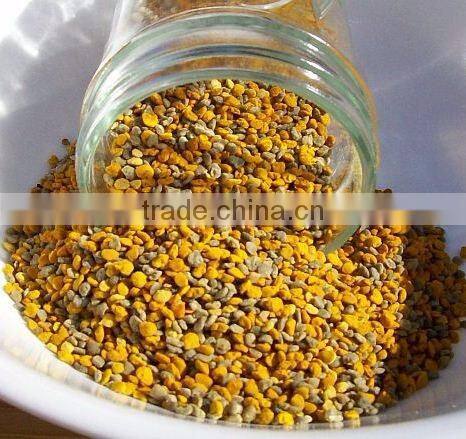 Natural Bee Pollen granules Pine Pollens