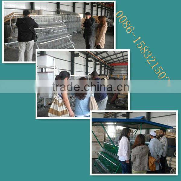 Pigeons Cages 3 tier ISO 9001