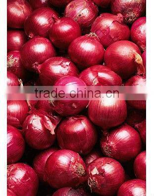 professional coal briquettes bagging machine automatic packing