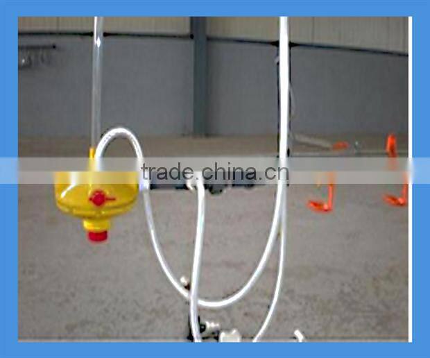 cheap chicken farm automatic drinking system for sale