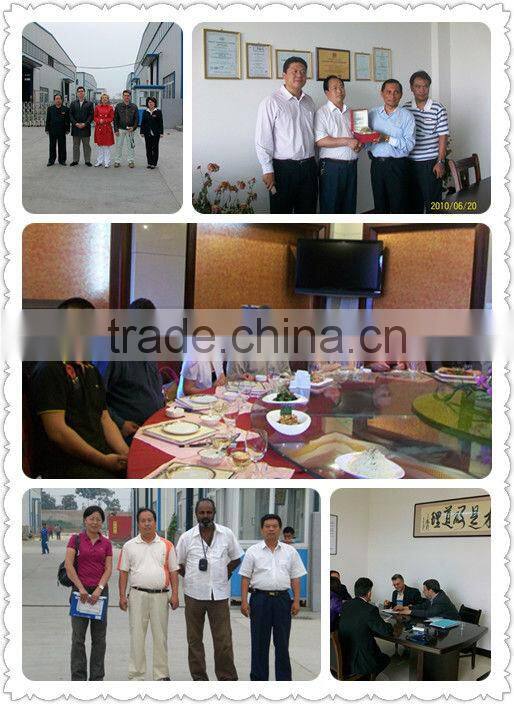 Good quality dolomite quarz impact crusher machine with good price and best quality
