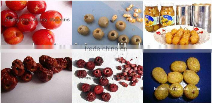 full stainless steel electric cherry pitter