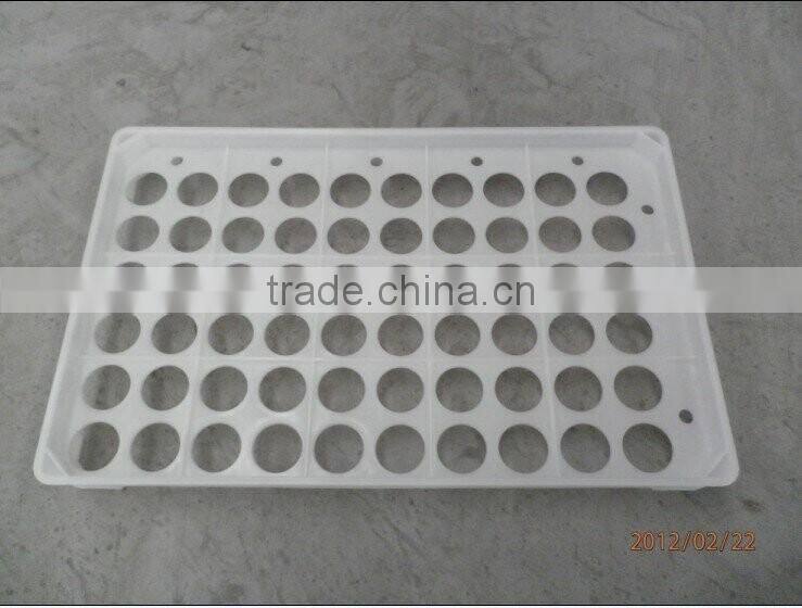 hatching eggs plastic egg tray