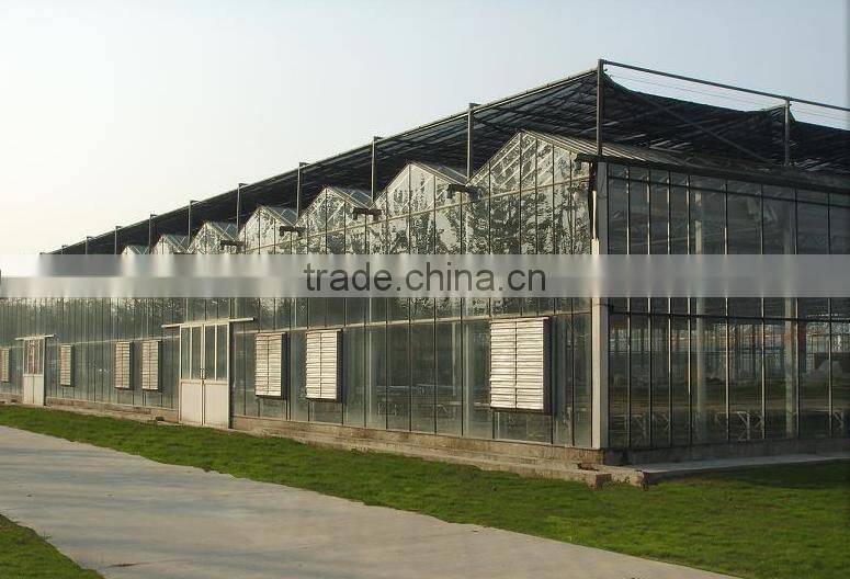 XINHE Manufacturer supply Larger Multi-span Glass Greenhouse