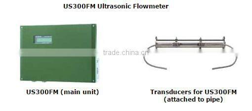 US300FM Ultrasonic Flowmeter