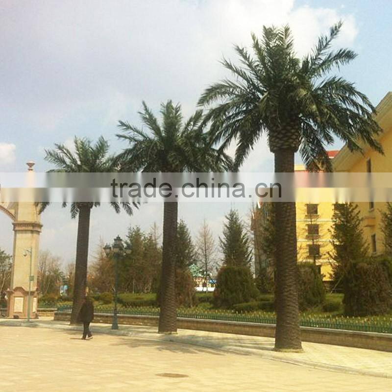Outdoor artificial date palm tree high quality ornamental palm tree decorative plam trees