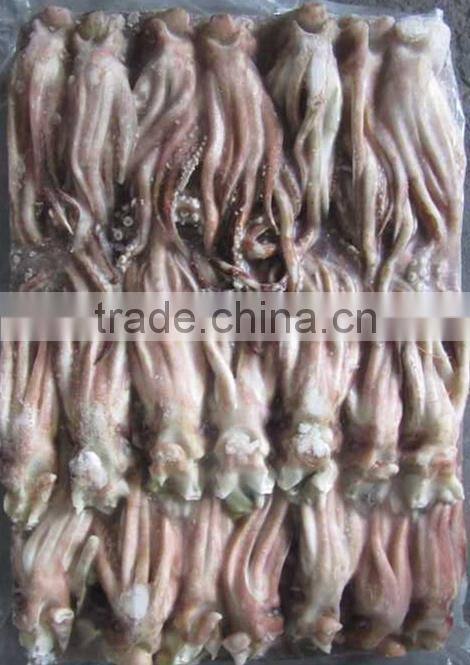 Squid Tentacles For Sale With Well Price