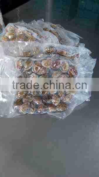 COOKED AND FROZEN SHORT NECKED CLAM