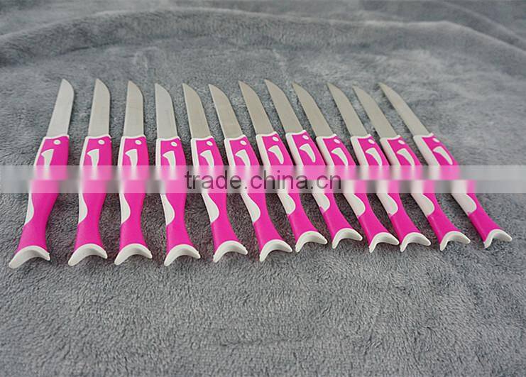 51010 12PCS STAINLESS STEEL fruit Knife Set