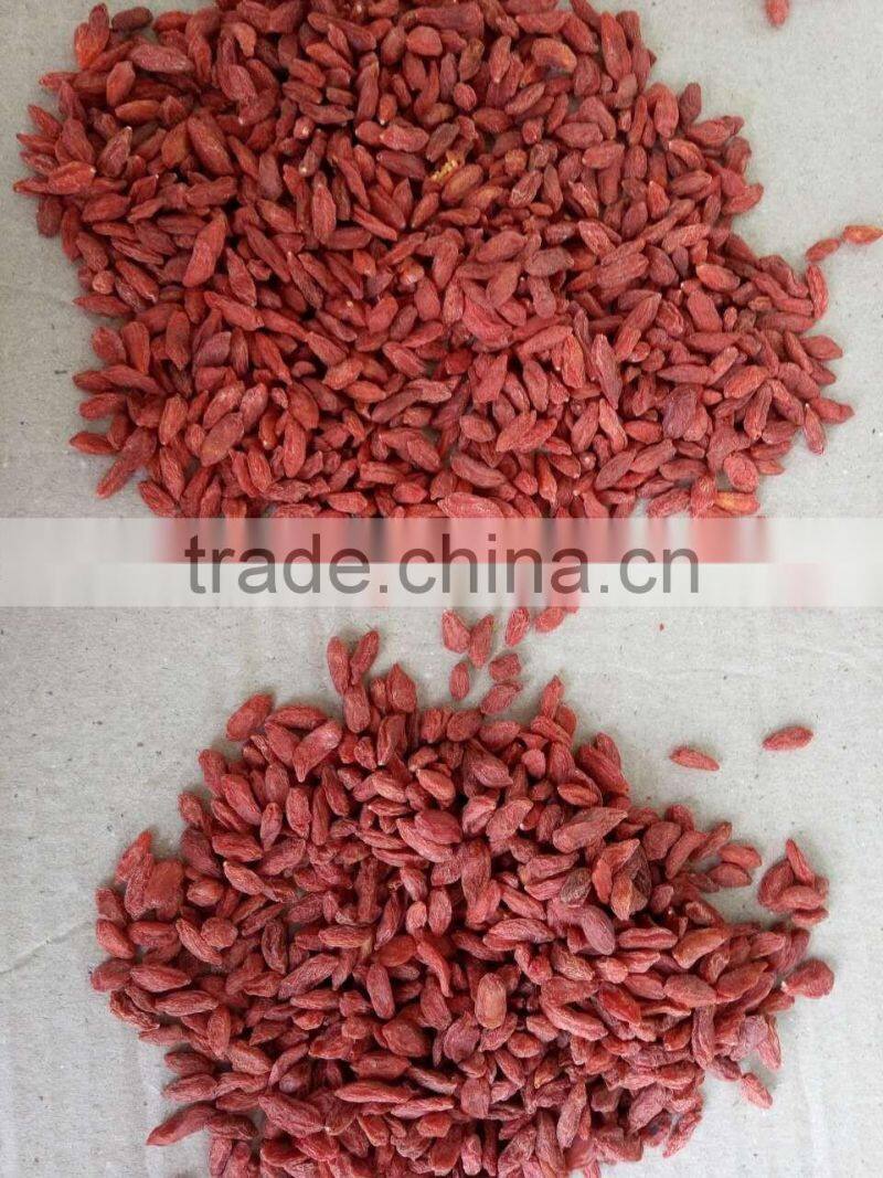 2016 new natural Goji berry/ wolf berry/gouqi