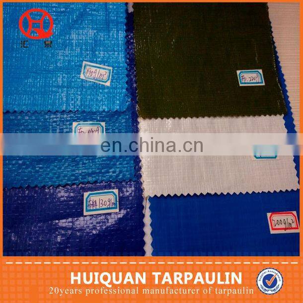 PE Material 10 x 10 mesh PE tarp