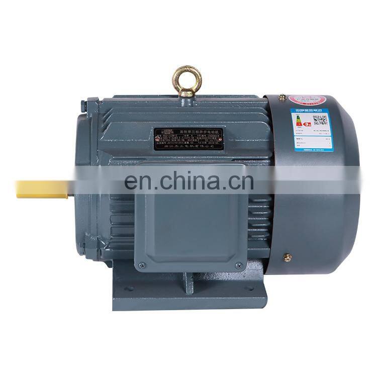 Latest Design 2019 YE2 three-phase asynchronous micro ac water pump motor of China Supplier