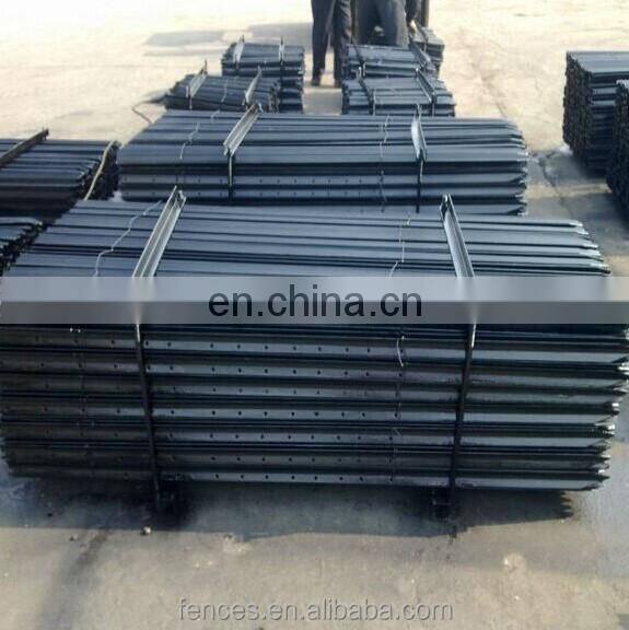 Raspberry Trellis Systems Plantations Vine Plants Trellis Post