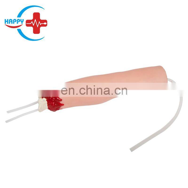 HC-S274 Normal foot/flat foot/arched foot model,Medical Human Anatomical foot model