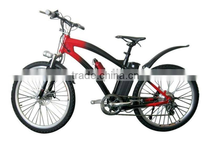 low price mountain electric bike