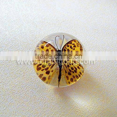 New design acrylic half ball with real ember embedded for promotional gift