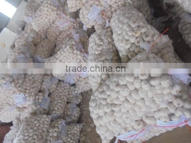 chinese pure white garlic new crop 2016 fresh best qaulity