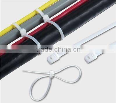 Double locking Nylon Cable Tie self locking nylon cable ties