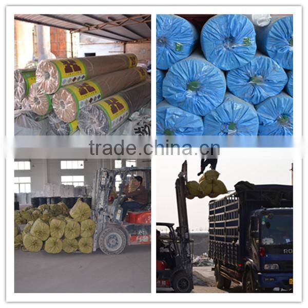 new design best quality acupressure mat