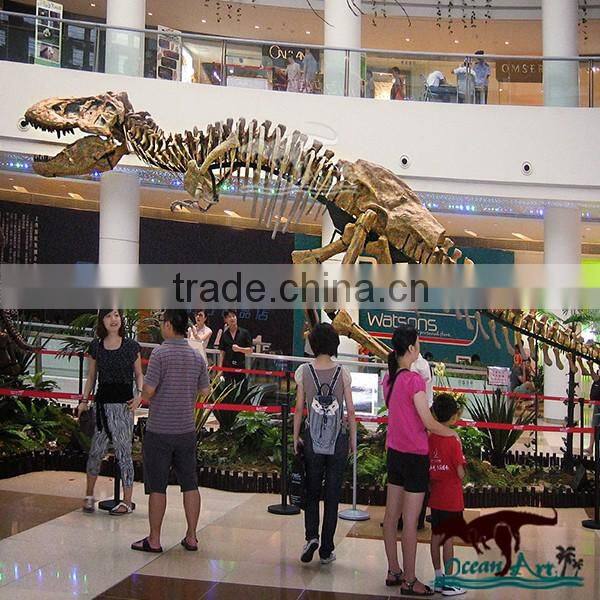 OA6177 Museum Exhibition Dinosaur Skeleton Replicas Model