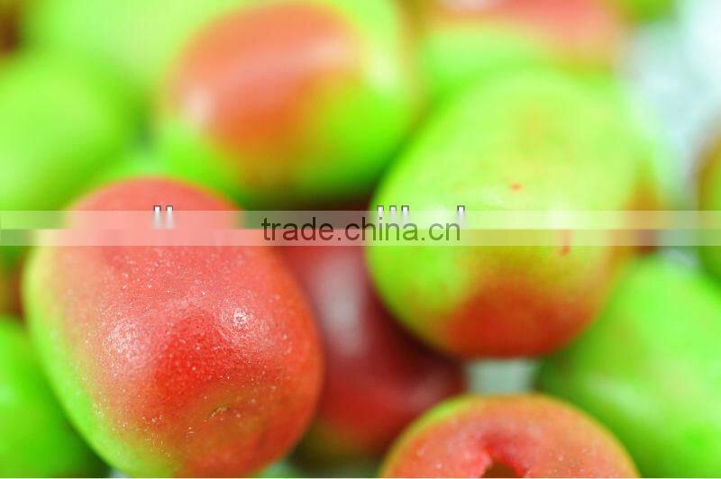 Apple Shaped Bubble Gum Balls In Jar VBG-G05