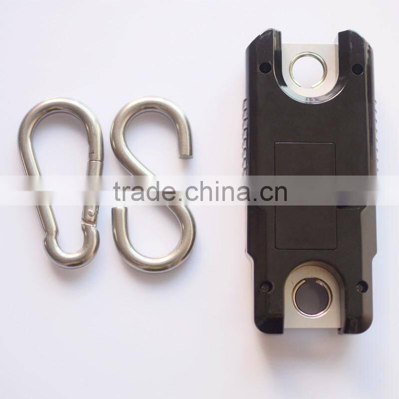 WH-C300 300kg/100g electronic crane digital weighing scale