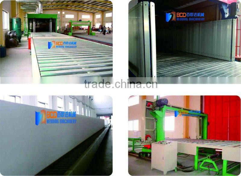 Continuous Foaming Production Line For Foaming Machinery(BLXFP)