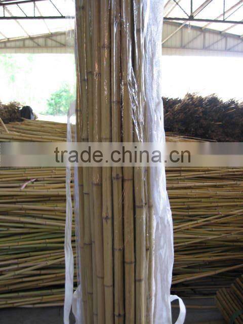 Treatment Bamboo Poles Sale