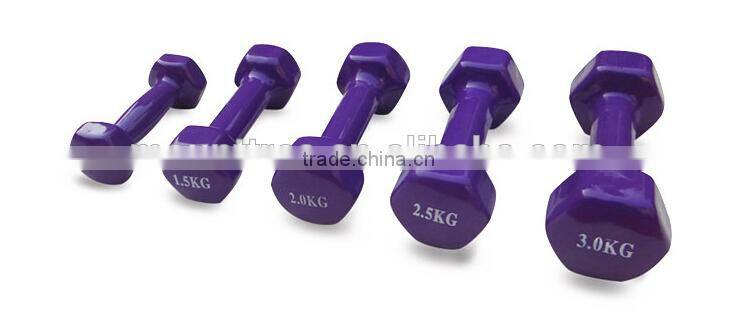 Exercise Equipment Cast Iron Neoprene Dumbbell for Women