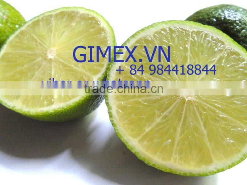 fresh lemon high quality seedless Gimex 2015