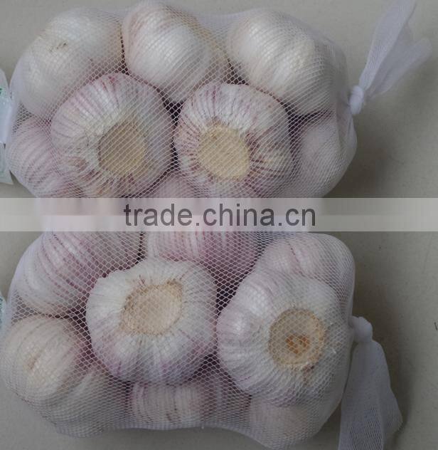 cheap chinese garlic